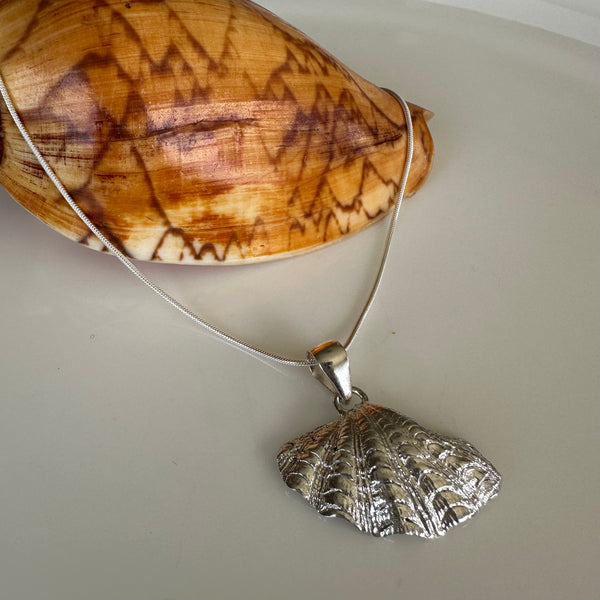 Giant Clam Shell Pendant-Tasmanian Jewellery and gemstones-Rare and Beautiful
