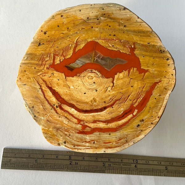 Large Thunderegg-Tasmanian Jewellery and gemstones-Rare and Beautiful