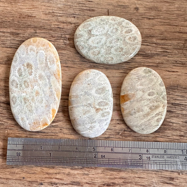 Fossil Coral x4-Tasmanian Jewellery and gemstones-Rare and Beautiful