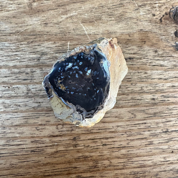 Fossil wood Coles Bay-Tasmanian Jewellery and gemstones-Rare and Beautiful