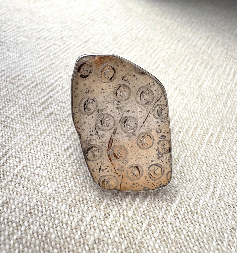 Fossil Tree Fern Ring.-Tasmanian Jewellery and gemstones-Rare and Beautiful