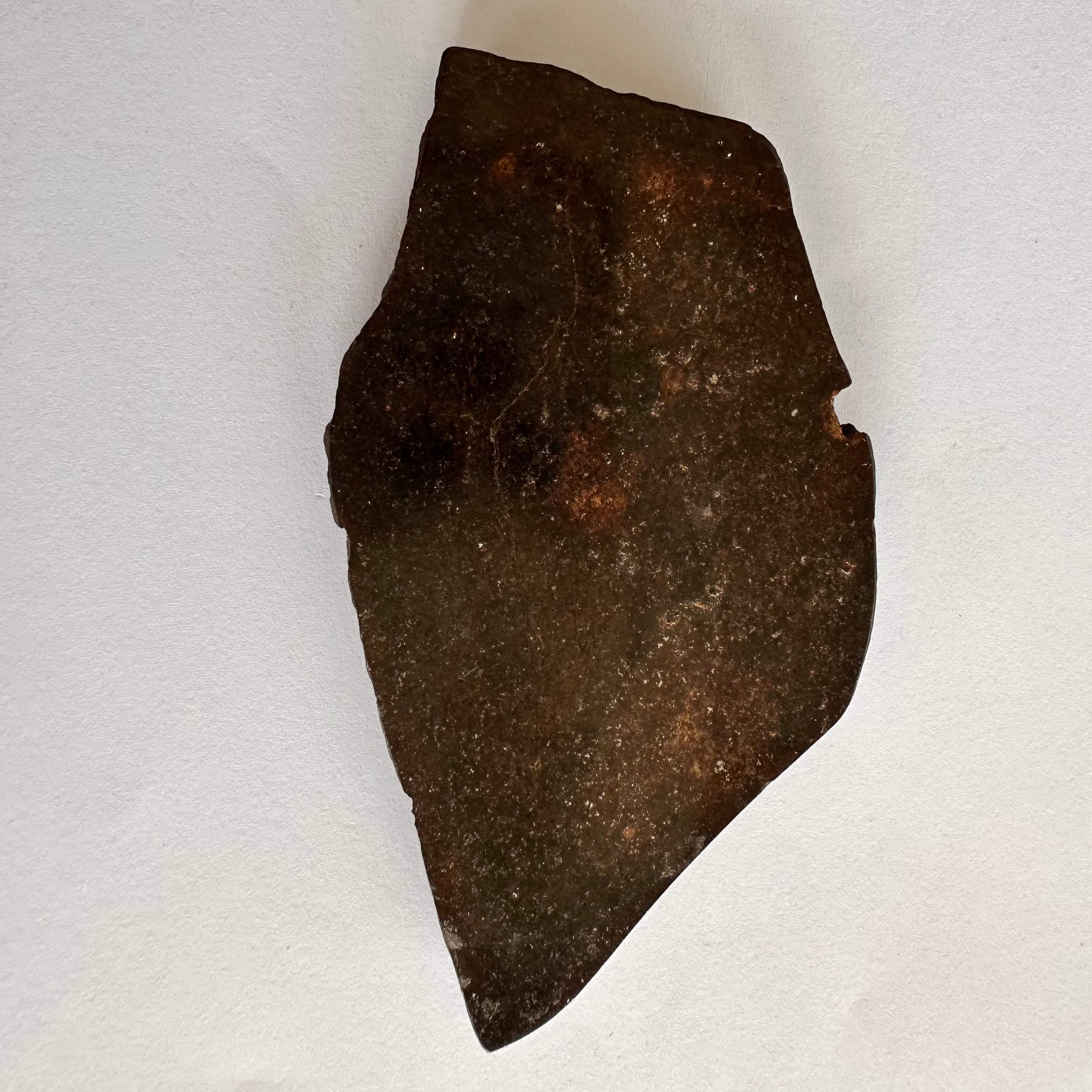 Meteorite Slice – Rare and Beautiful