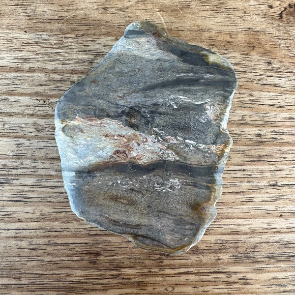 Fossil fern Tasmania-Tasmanian Jewellery and gemstones-Rare and Beautiful