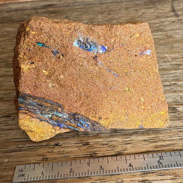 Boulder Opal Fossil wood specimen-Tasmanian Jewellery and gemstones-Rare and Beautiful