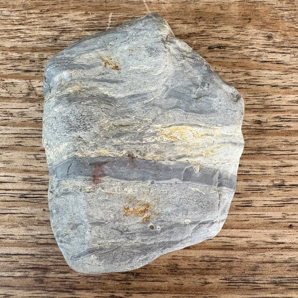 Fossil fern Tasmania-Tasmanian Jewellery and gemstones-Rare and Beautiful