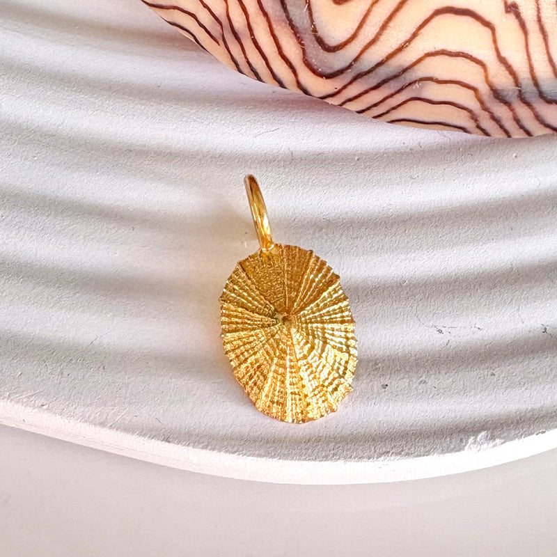 Limpet Pendant-Tasmanian Jewellery and gemstones-Rare and Beautiful