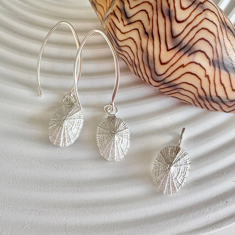 Limpet earrings-Tasmanian Jewellery and gemstones-Rare and Beautiful
