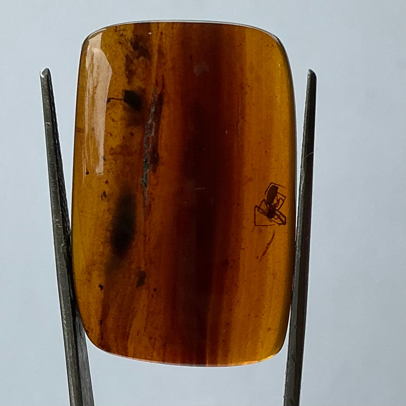 Spider Amber-Tasmanian Jewellery and gemstones-Rare and Beautiful