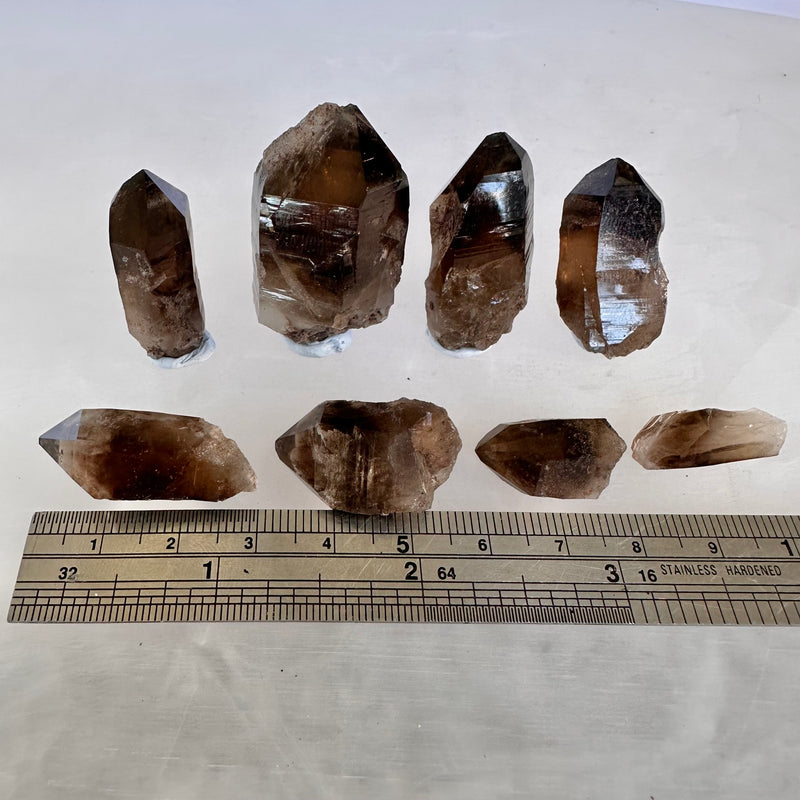 Smokey Quartz x8-Tasmanian Jewellery and gemstones-Rare and Beautiful