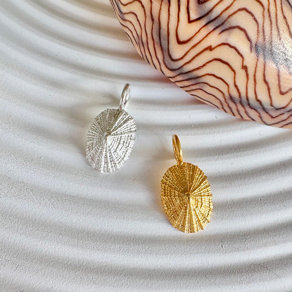 Limpet Pendant-Tasmanian Jewellery and gemstones-Rare and Beautiful