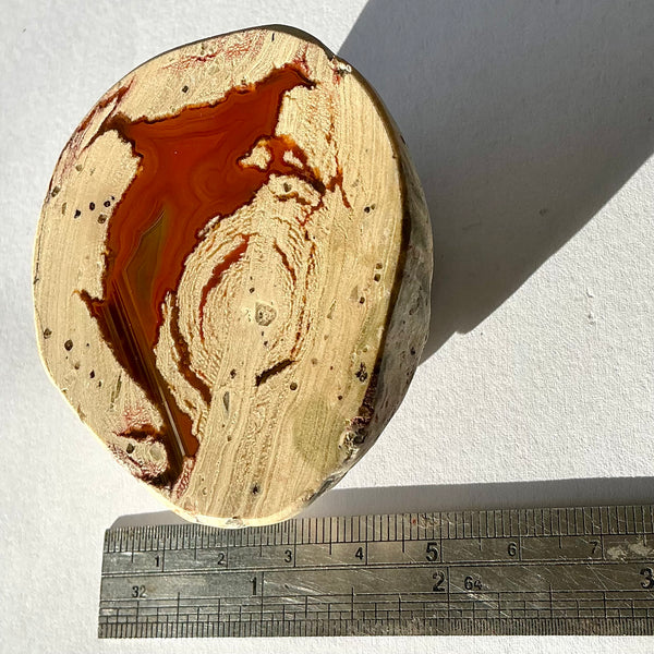 Thunderegg Agate-Tasmanian Jewellery and gemstones-Rare and Beautiful