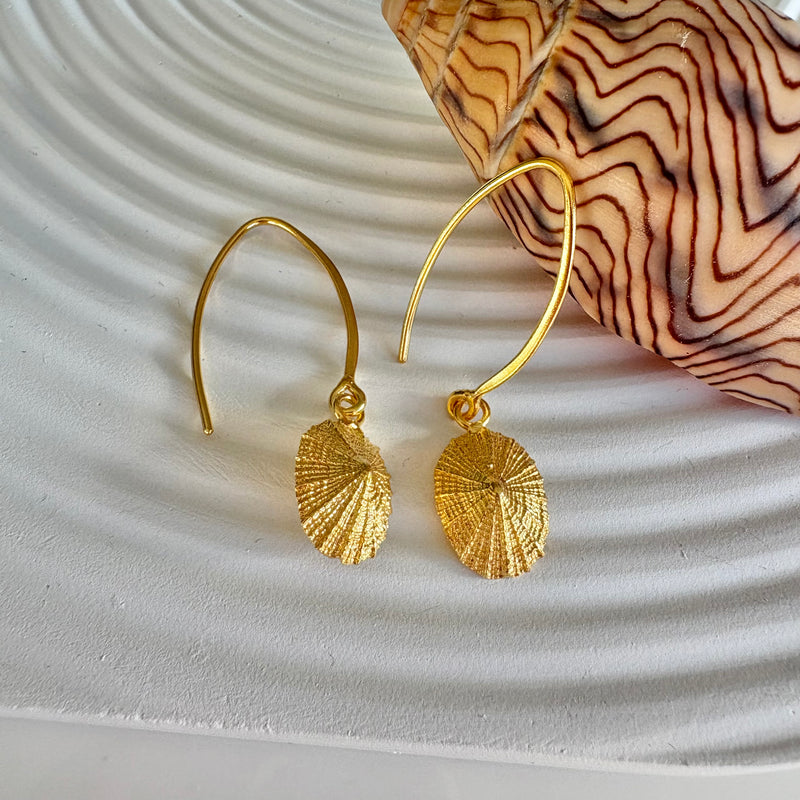 Limpet earrings-Tasmanian Jewellery and gemstones-Rare and Beautiful
