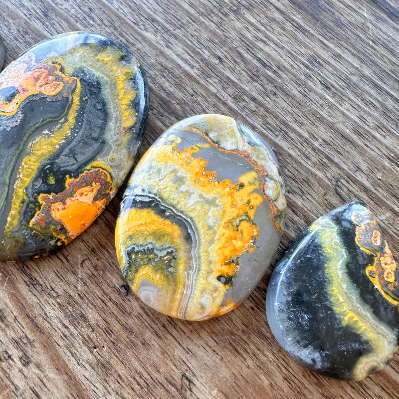 Bumblebee Jasper x4-Tasmanian Jewellery and gemstones-Rare and Beautiful