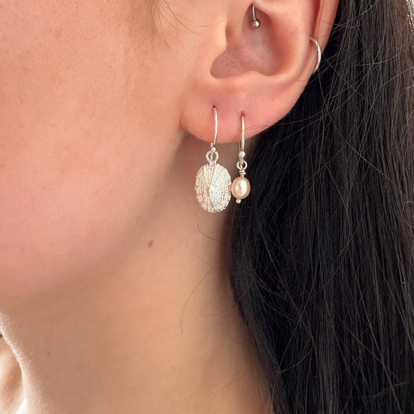 Limpet earrings-Tasmanian Jewellery and gemstones-Rare and Beautiful