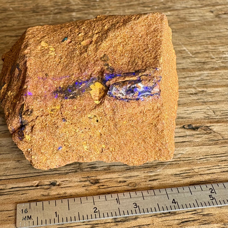 Boulder Opal Fossil wood specimen-Tasmanian Jewellery and gemstones-Rare and Beautiful