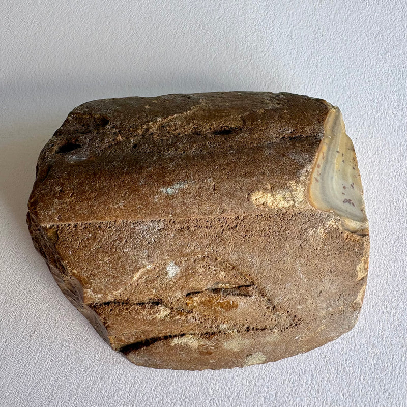 Ribbon stone – Rare and Beautiful
