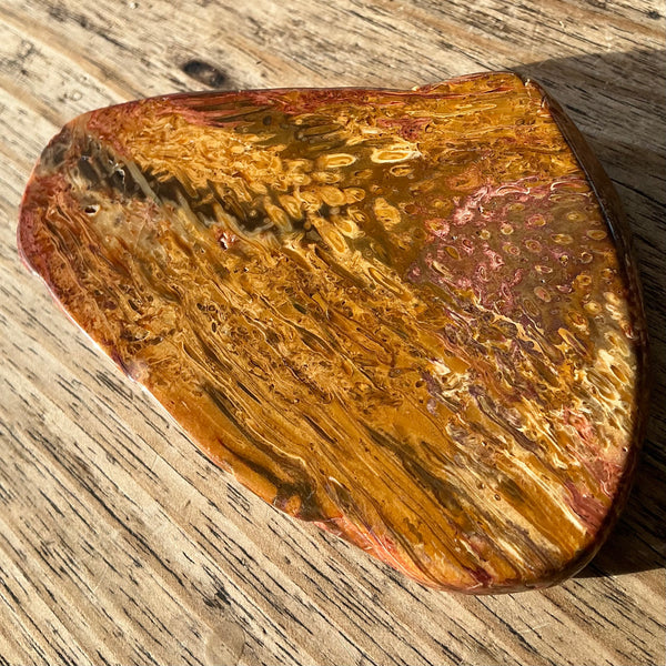 Fossil Fern Piece-Tasmanian Jewellery and gemstones-Rare and Beautiful