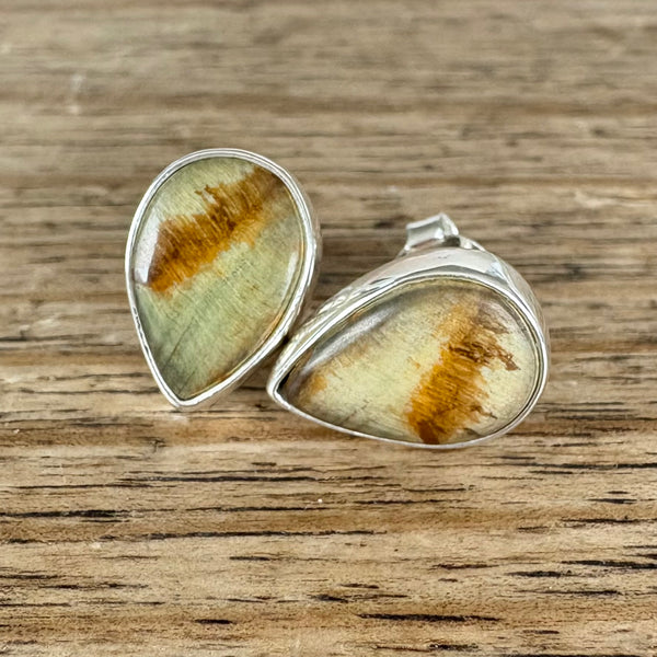 Petite Fossil Wood Studs-Tasmanian Jewellery and gemstones-Rare and Beautiful