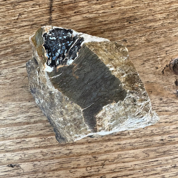Tasmanian Fossil wood-Tasmanian Jewellery and gemstones-Rare and Beautiful