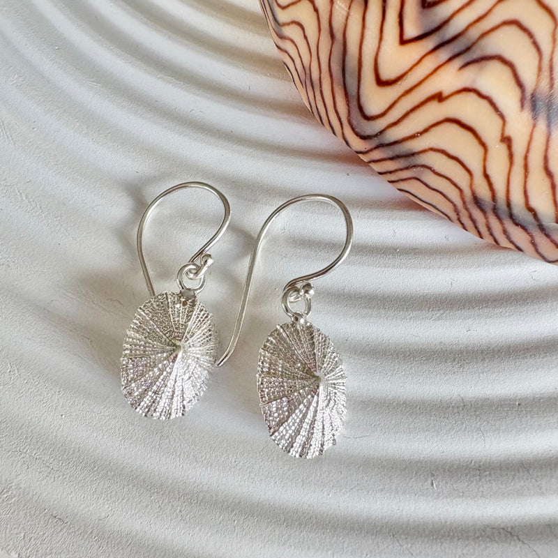 Limpet earrings-Tasmanian Jewellery and gemstones-Rare and Beautiful