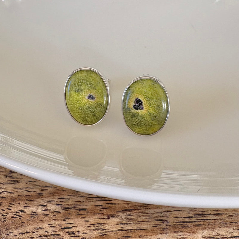 Stichtite and Serpentine studs-Tasmanian Jewellery and gemstones-Rare and Beautiful