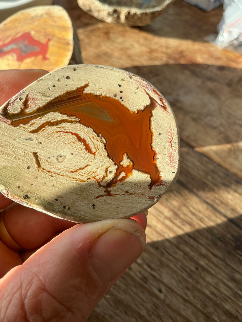Thunderegg Agate-Tasmanian Jewellery and gemstones-Rare and Beautiful