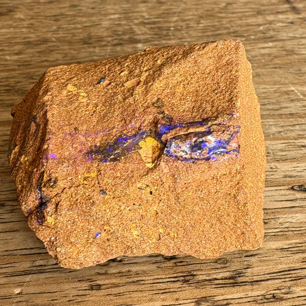 Boulder Opal Fossil wood specimen-Tasmanian Jewellery and gemstones-Rare and Beautiful