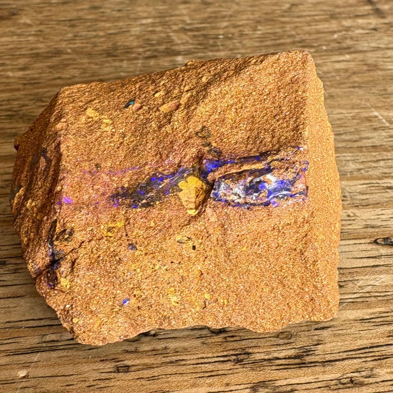 Boulder Opal Fossil wood specimen-Tasmanian Jewellery and gemstones-Rare and Beautiful