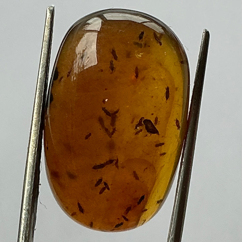 Small insect amber-Tasmanian Jewellery and gemstones-Rare and Beautiful