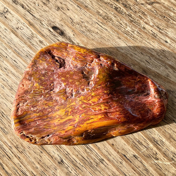Fossil Fern Piece-Tasmanian Jewellery and gemstones-Rare and Beautiful