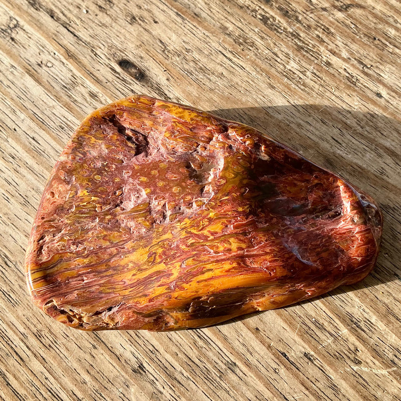 Fossil Fern Piece-Tasmanian Jewellery and gemstones-Rare and Beautiful
