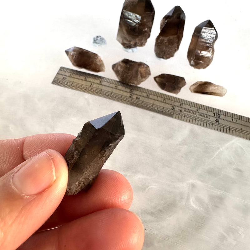 Smokey Quartz x8-Tasmanian Jewellery and gemstones-Rare and Beautiful