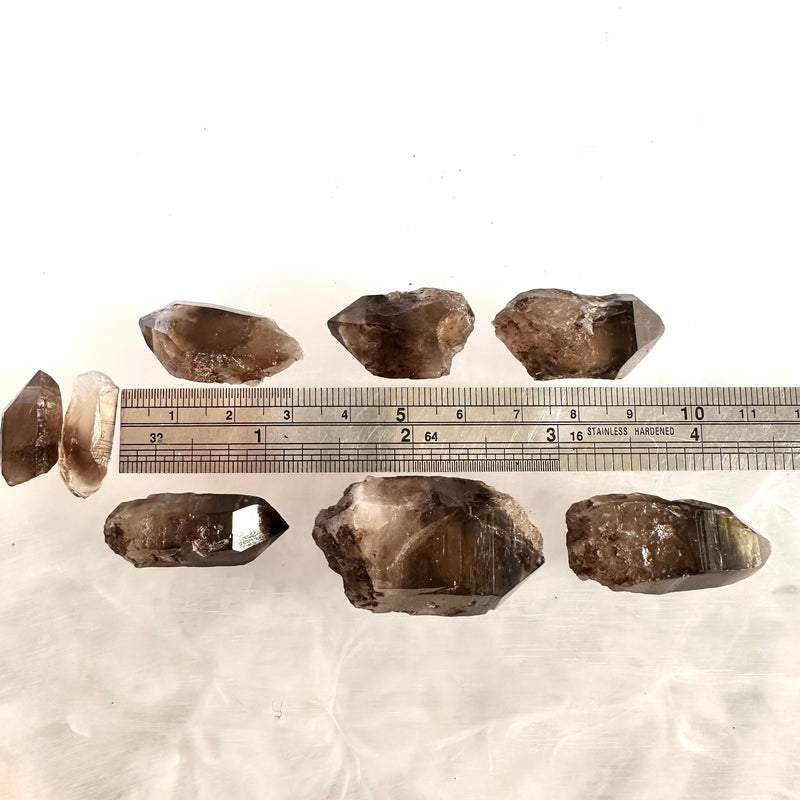 Smokey Quartz x8-Tasmanian Jewellery and gemstones-Rare and Beautiful