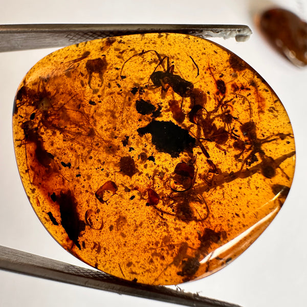 Burmese Amber with many large fly inclusions