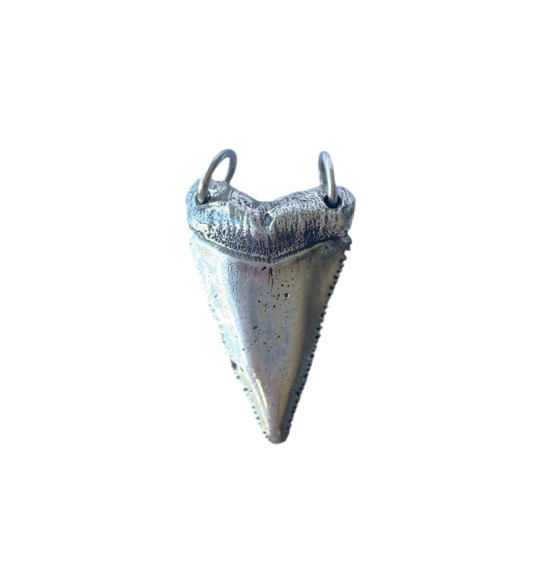 Shark tooth pendant-Tasmanian Jewellery and gemstones-Rare and Beautiful