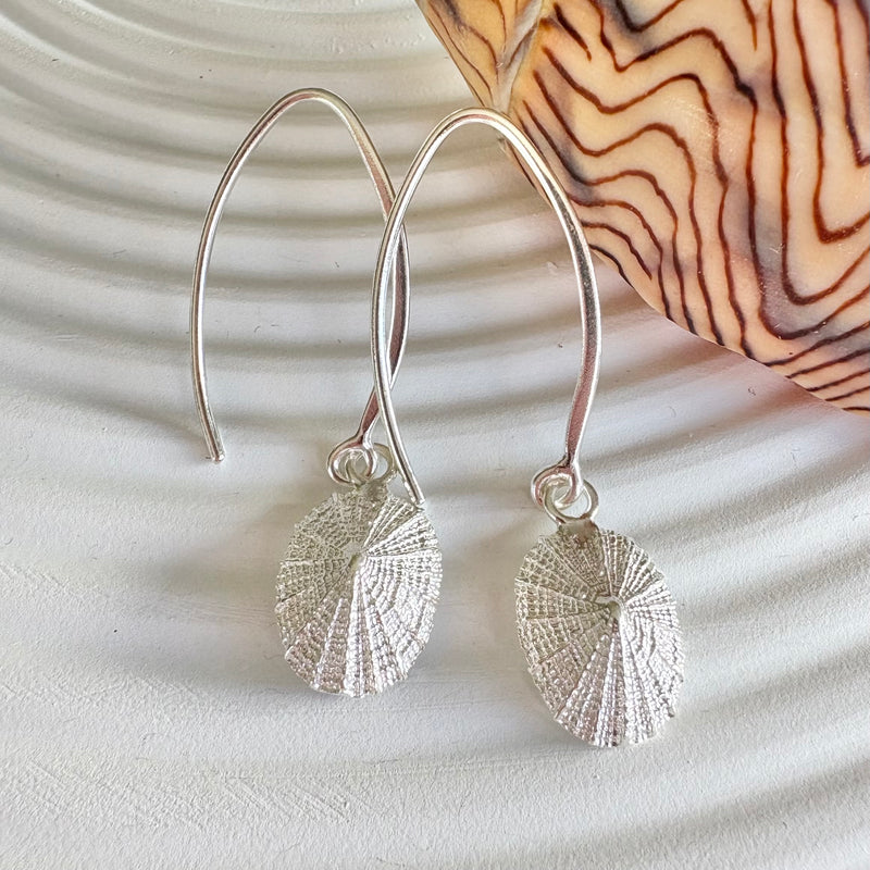 Limpet earrings-Tasmanian Jewellery and gemstones-Rare and Beautiful