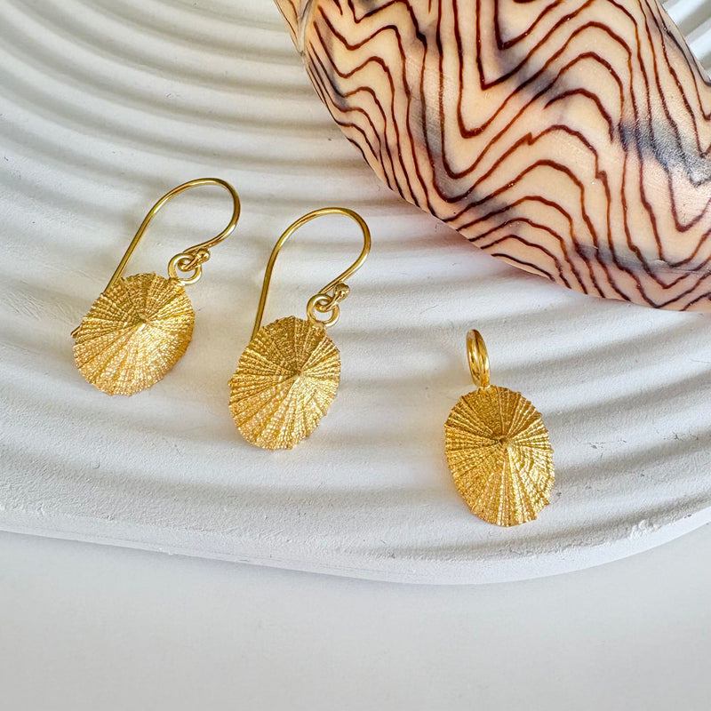 Limpet earrings-Tasmanian Jewellery and gemstones-Rare and Beautiful