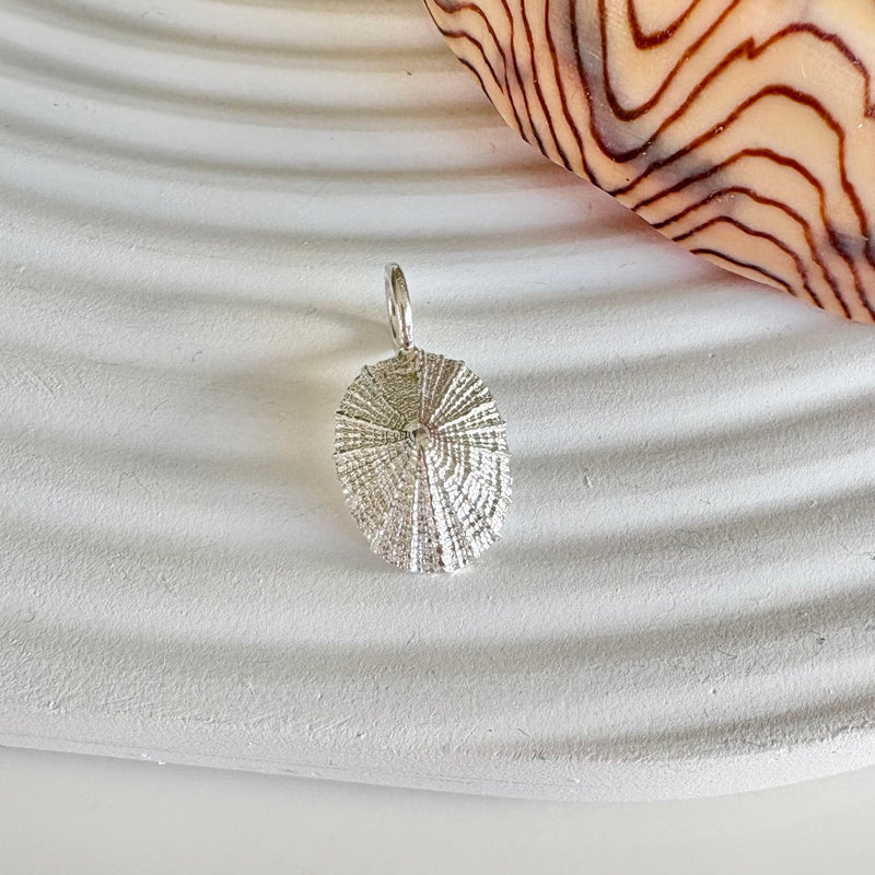 Limpet Pendant-Tasmanian Jewellery and gemstones-Rare and Beautiful