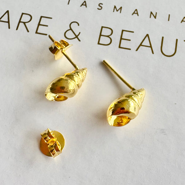 Maireener Shell studs-Tasmanian Jewellery and gemstones-Rare and Beautiful