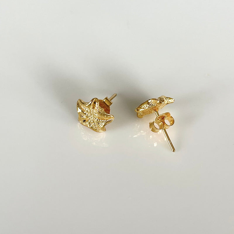 Starfish Studs-Tasmanian Jewellery and gemstones-Rare and Beautiful