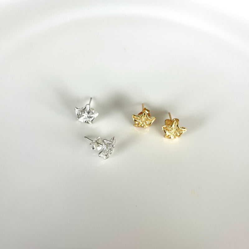 Starfish Studs-Tasmanian Jewellery and gemstones-Rare and Beautiful