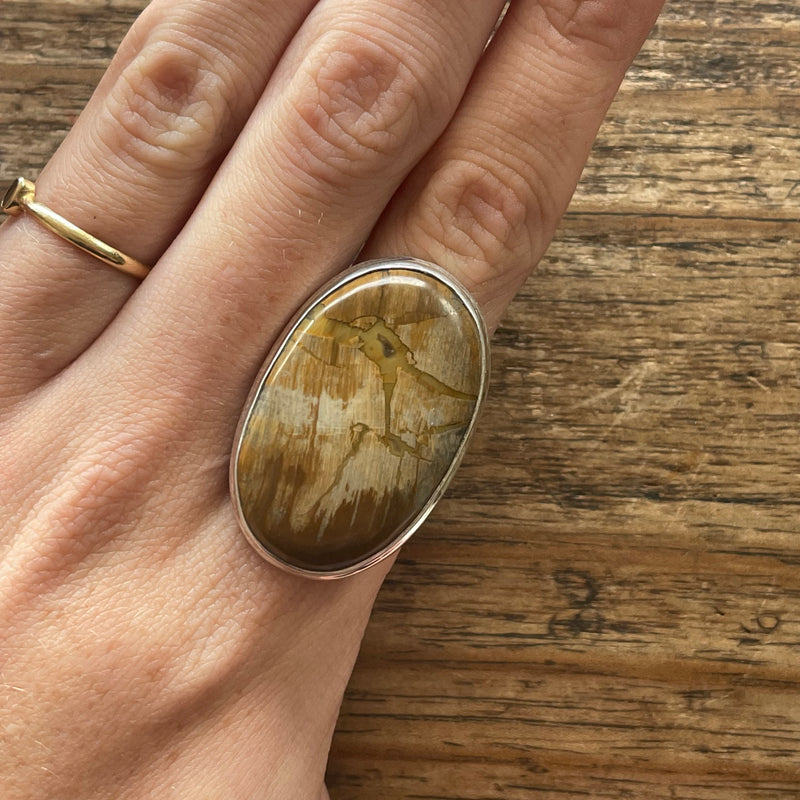 Tasmanian Fossil Wood Ring Rare and Beautiful