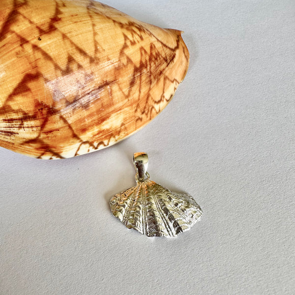 Giant Clam Shell Pendant-Tasmanian Jewellery and gemstones-Rare and Beautiful