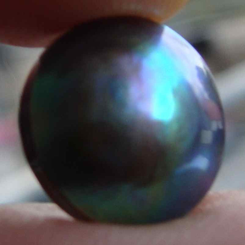 Abalone Pearl-Tasmanian Jewellery and gemstones-Rare and Beautiful