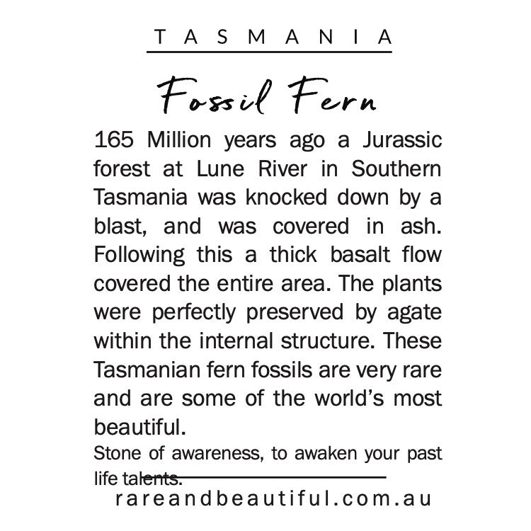 Tasmanian Fossil Fern-Tasmanian Jewellery and gemstones-Rare and Beautiful