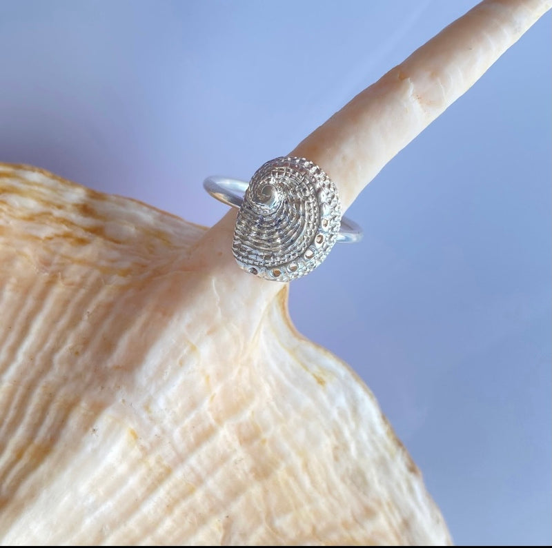 Abalone Ring - Tiny-Tasmanian Jewellery and gemstones-Rare and Beautiful