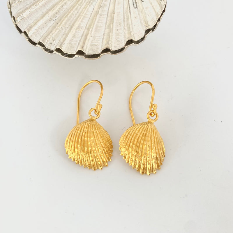 Tasmanian Trigonia Shell Earrings-Tasmanian Jewellery and gemstones-Rare and Beautiful