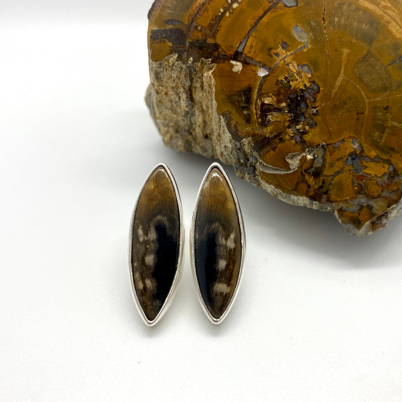 Tasmanian Fossil Wood Studs-Tasmanian Jewellery and gemstones-Rare and Beautiful