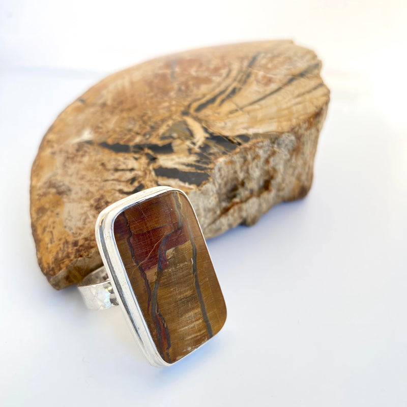 Fossil Wood Ring By Rare and Beautiful.