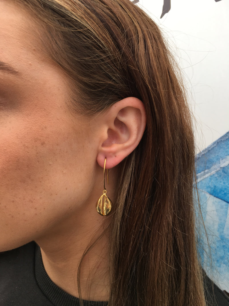 Cowrie Shell Earrings – Rare and Beautiful